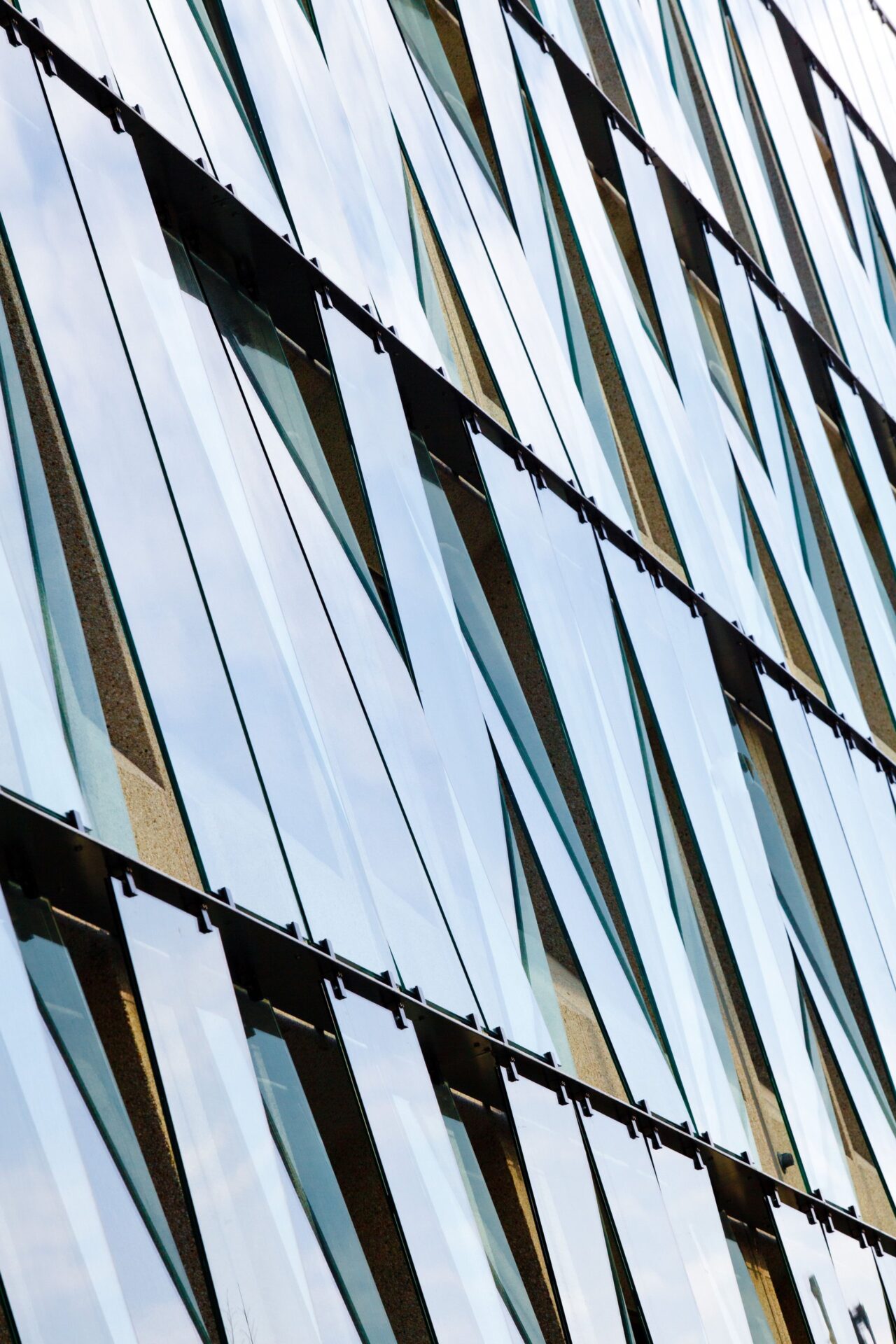 Casuariestraat revamped by complete renovation