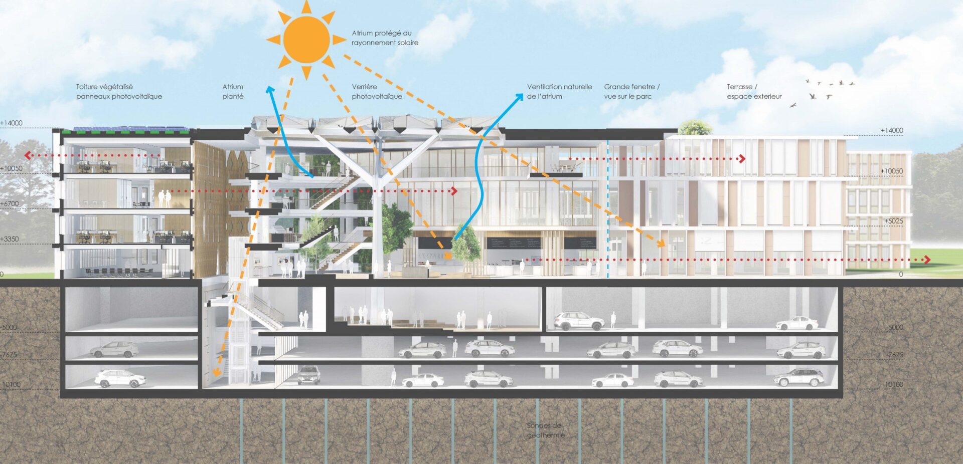 Section view of the Credit Agricole campus