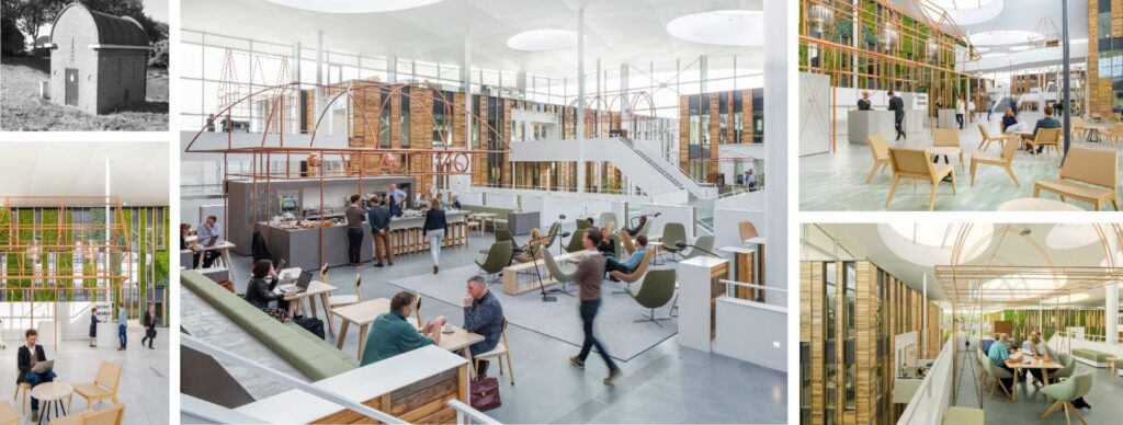 Alliander: "Bold interventions bring the outside-in, while adding minimalist references to the energy network company."