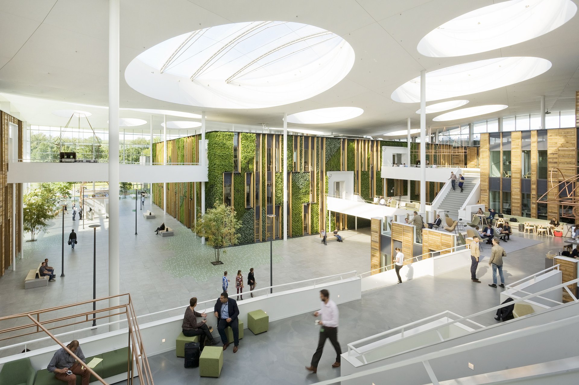 Bold interventions bring the outside-in for Alliander