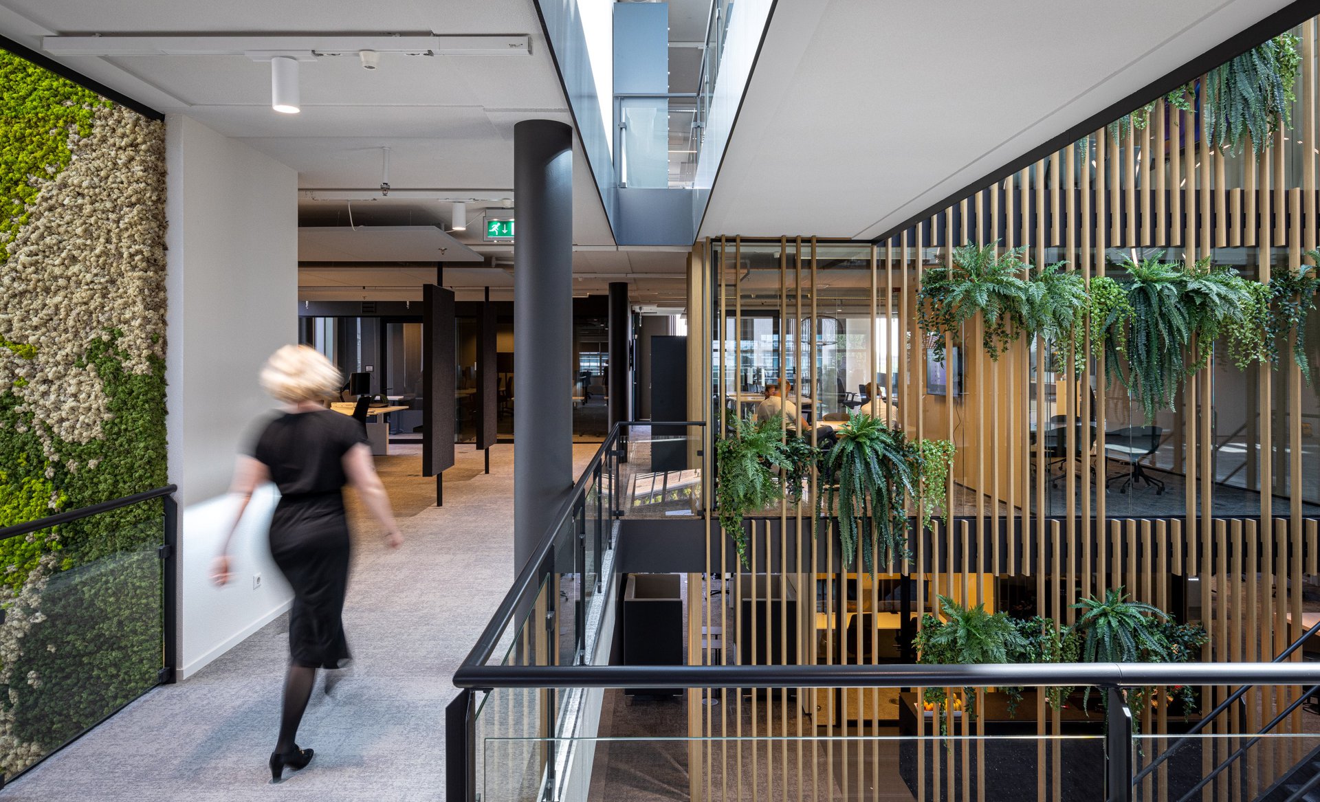 Interior with natural light and greenery