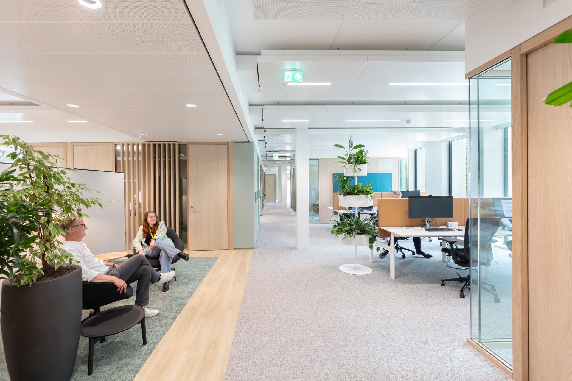 The first Paris Proof monumental transformation