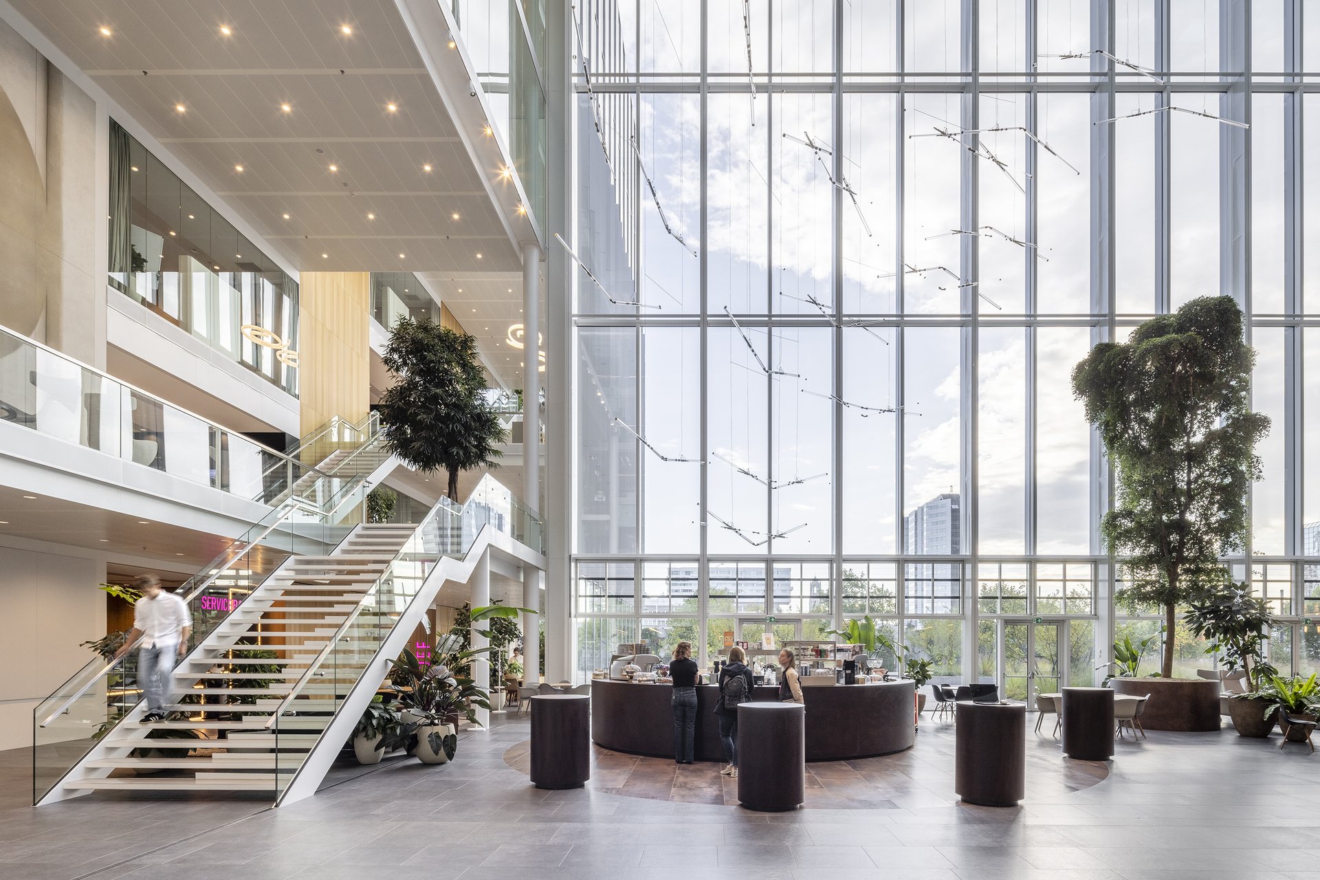 Untangling De Knoop: Connecting with a touch of pink