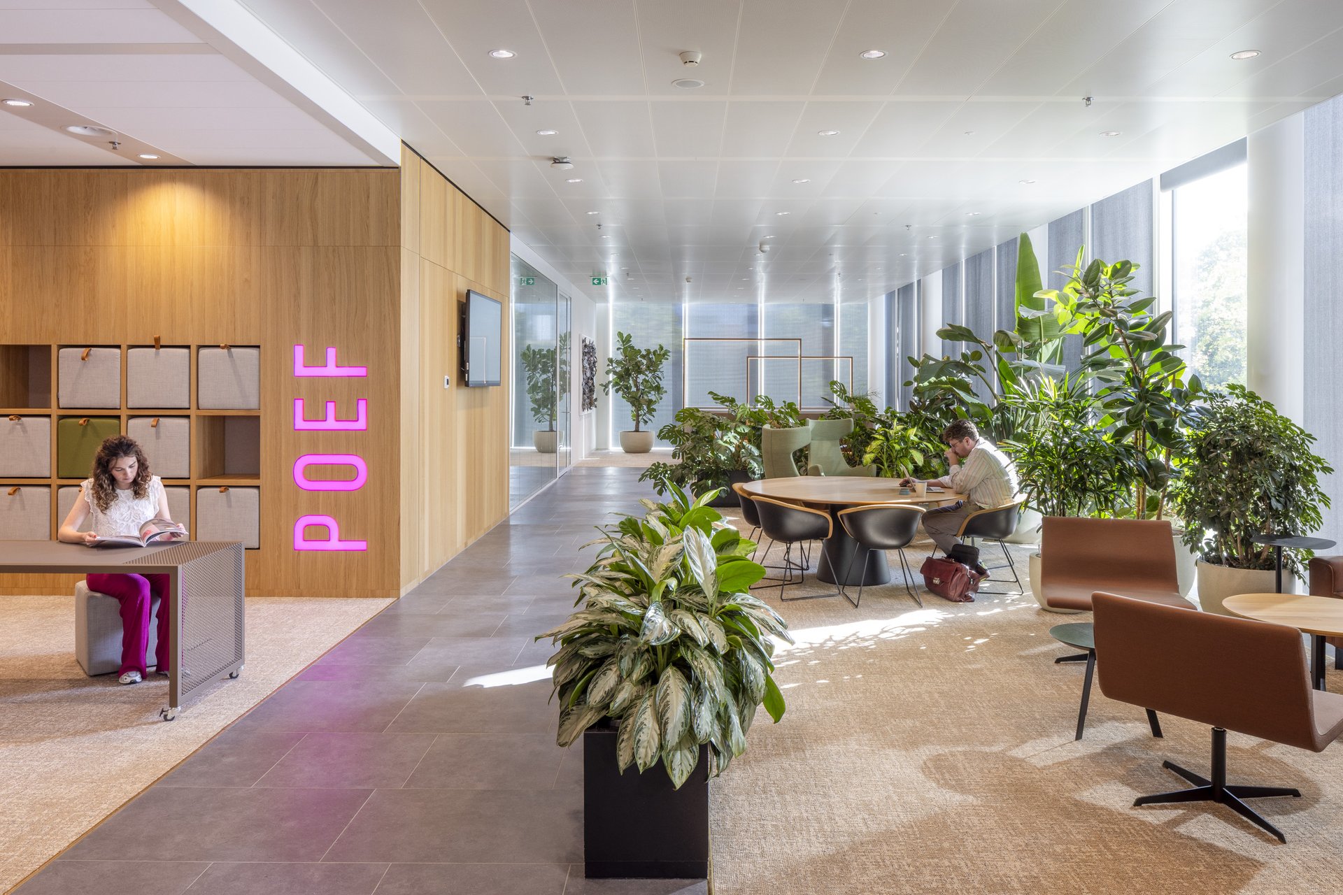 Untangling De Knoop: Connecting with a touch of pink