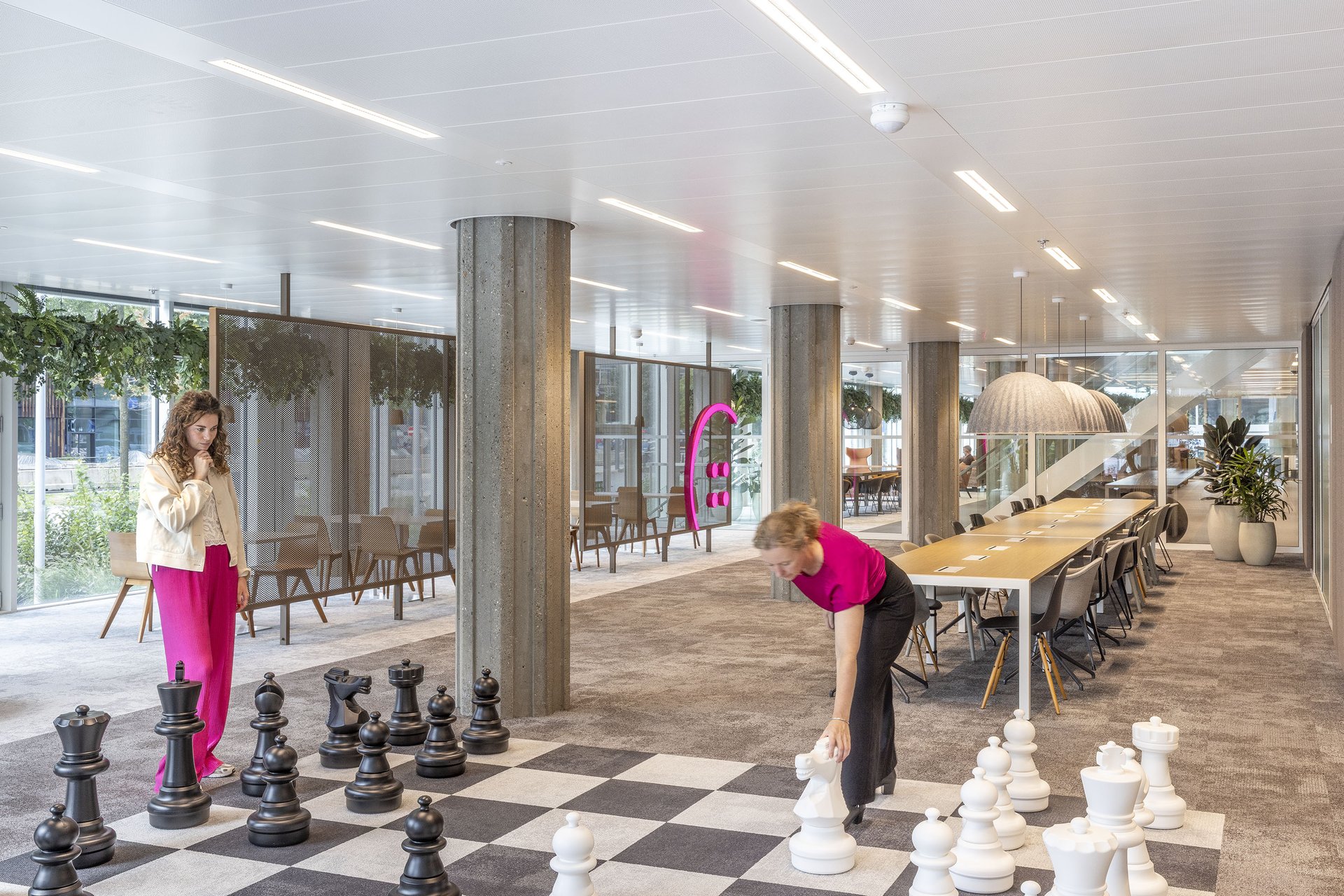 Untangling De Knoop: Connecting with a touch of pink