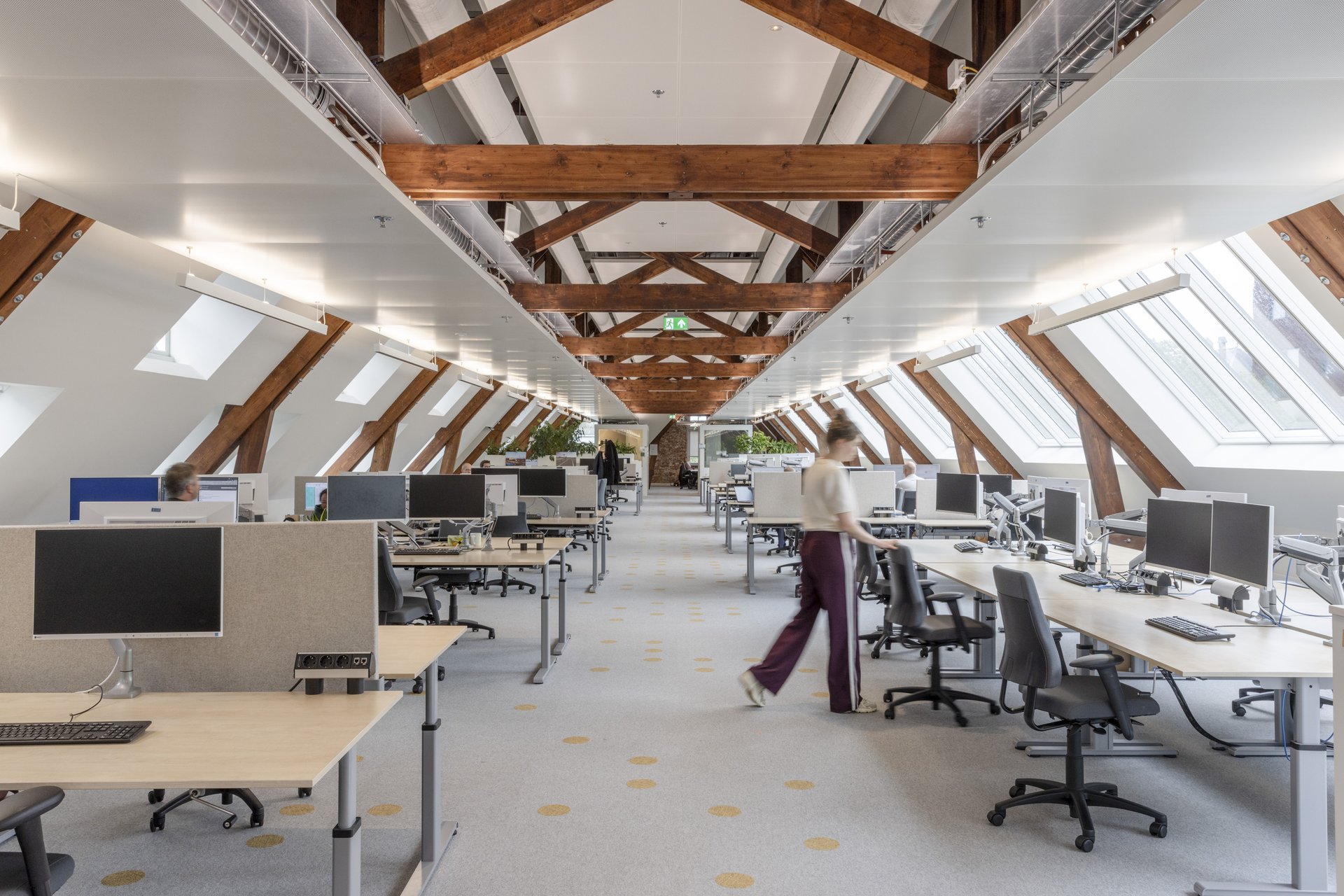 Bright ideas take root in rich history