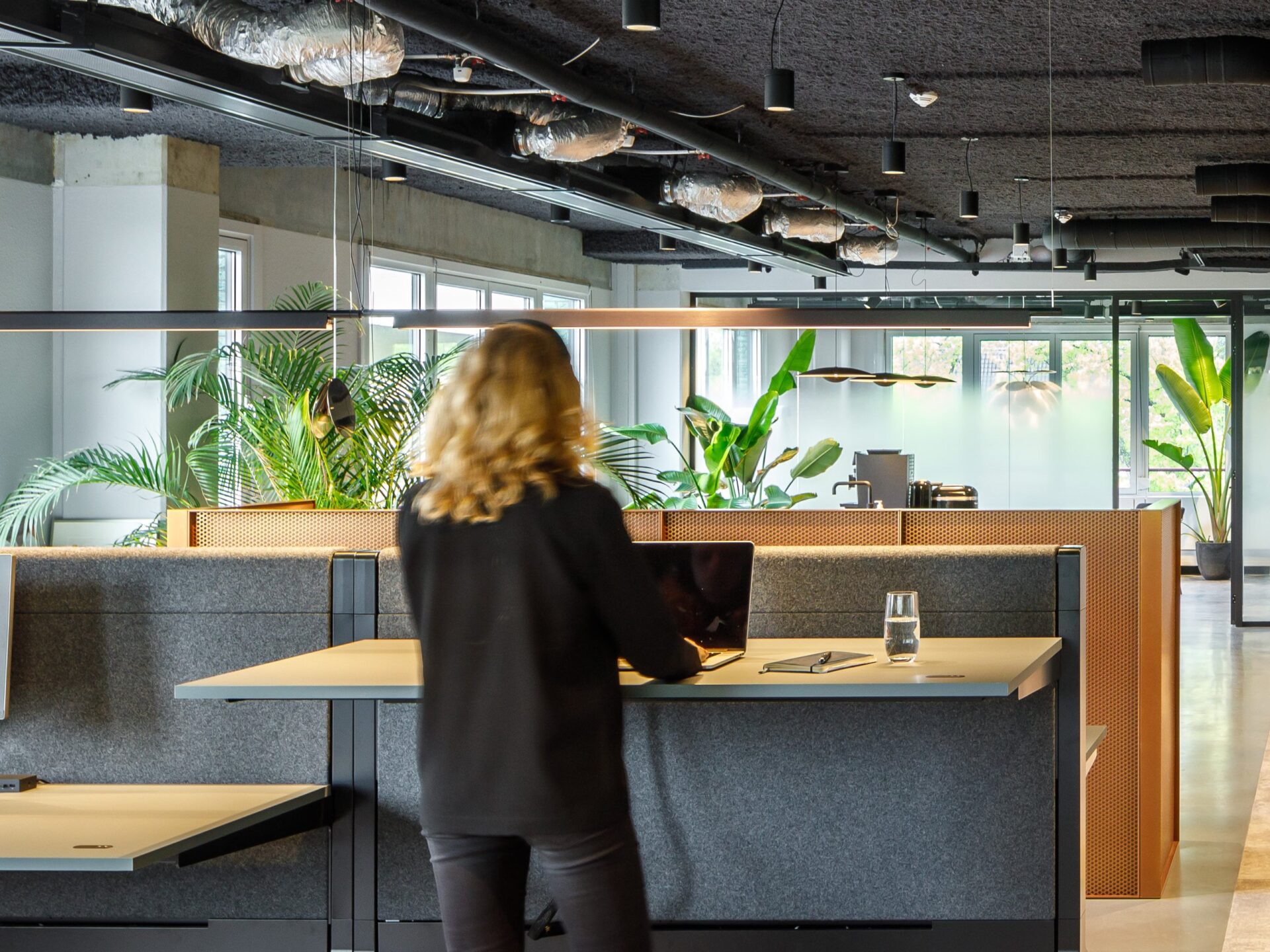 Ypsilon featured in 365 Capital interior design