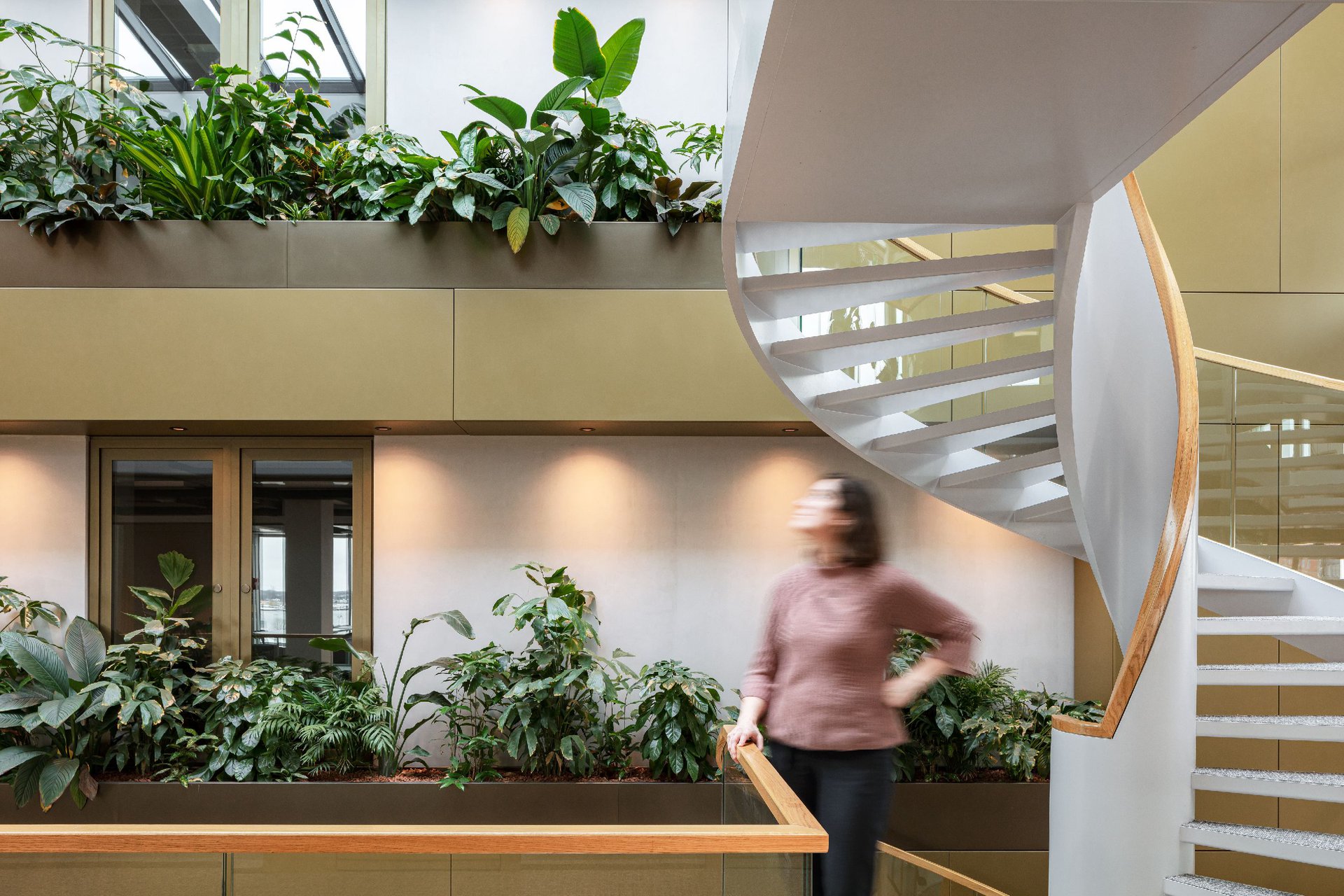 Interior with modern and transparent design