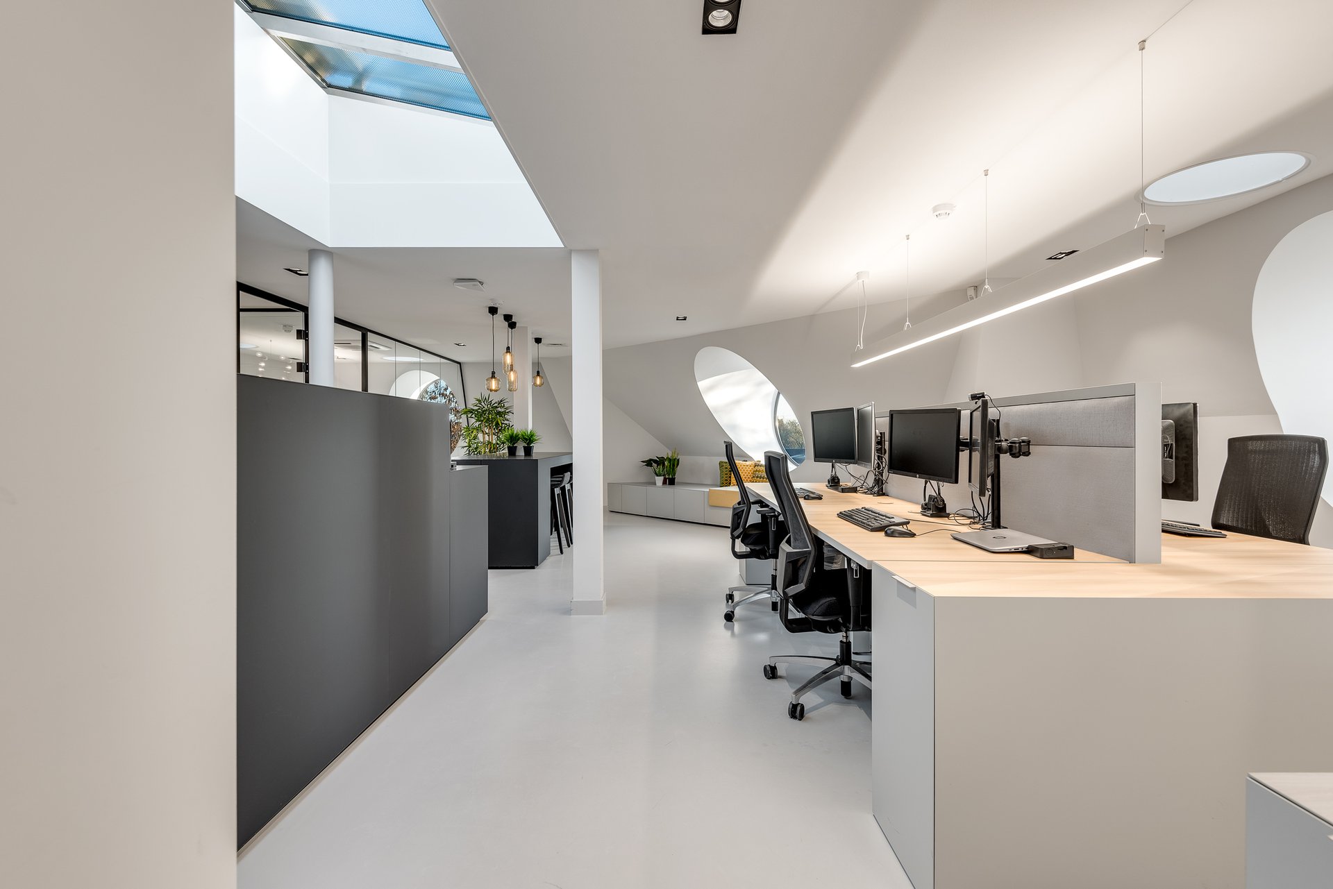 Office villa with Scandinavian-inspired design