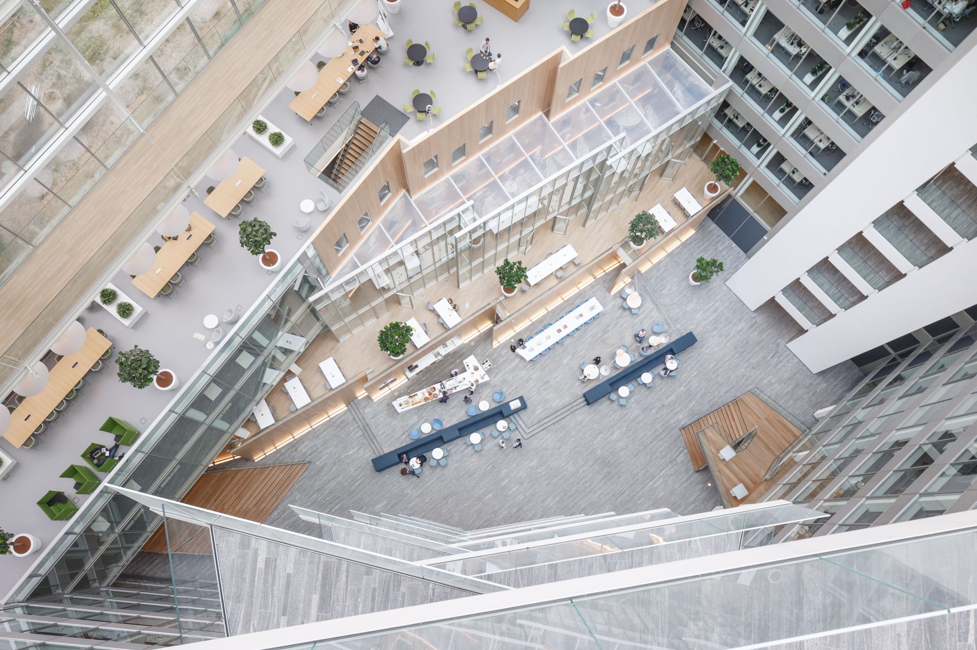 Deloitte and AKD office design showcasing a sustainable and innovative workspace