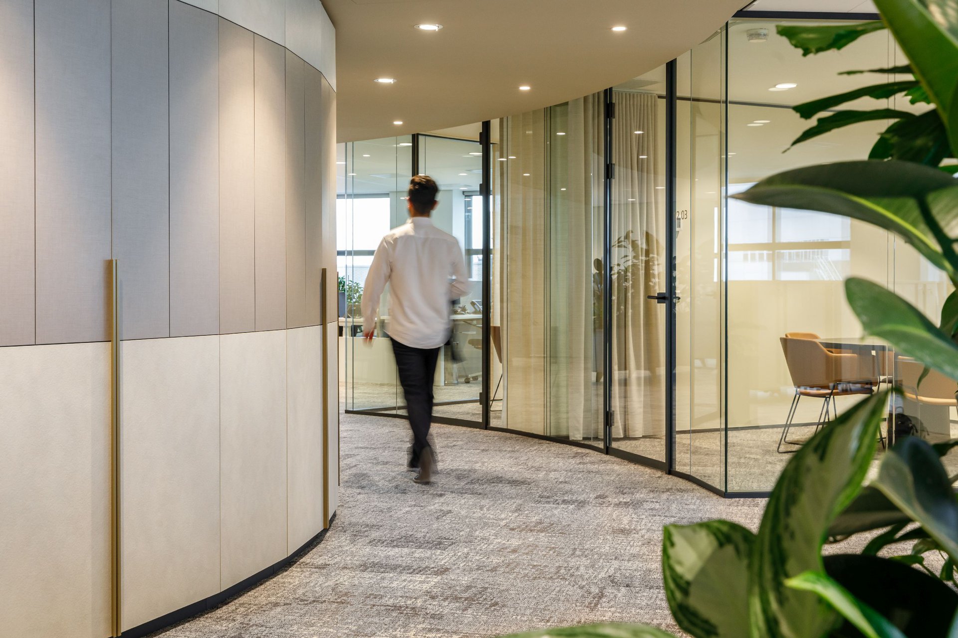 Rounded shapes in the law firm interior