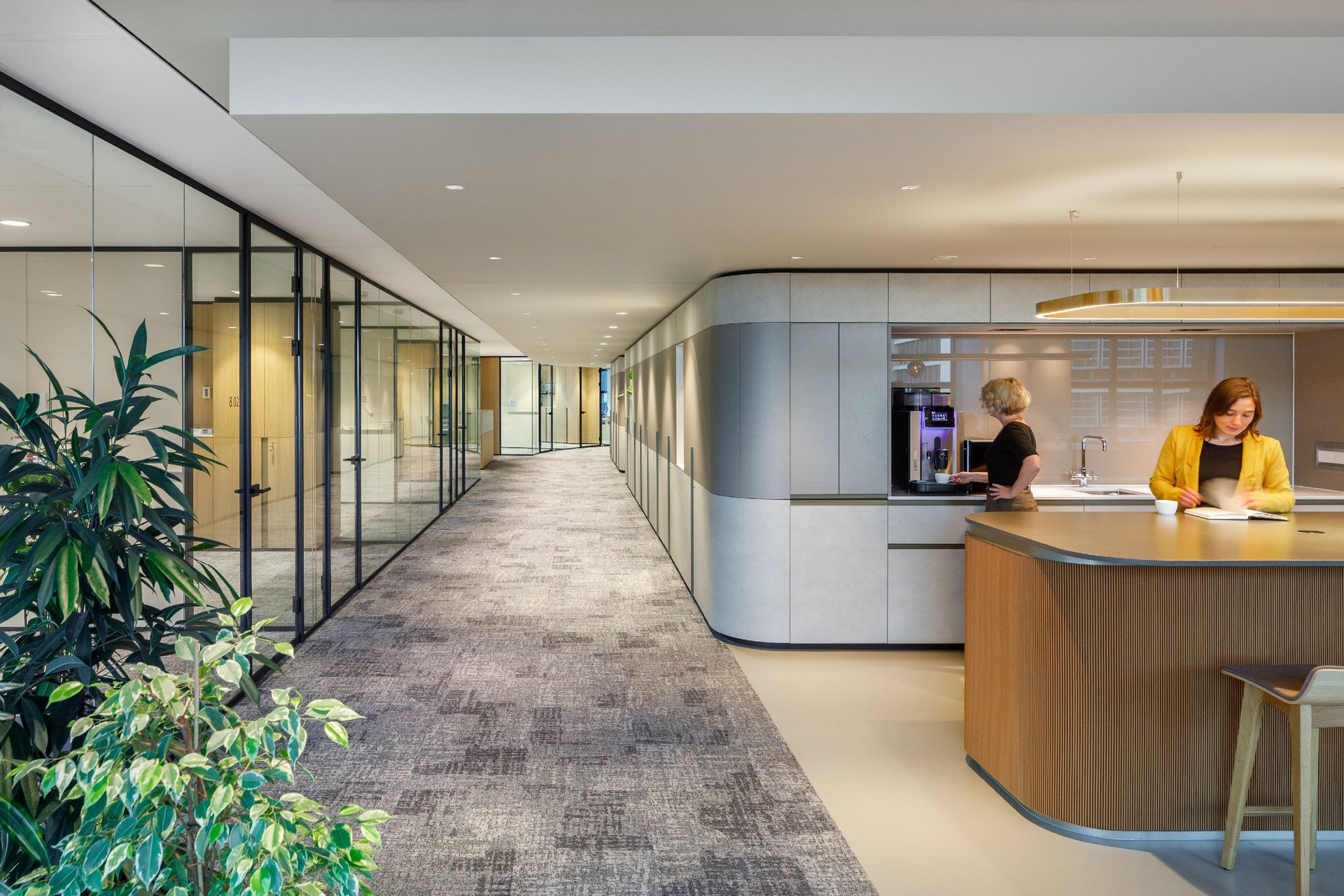 Smooth lines guide the user journey in a transparent law firm interior