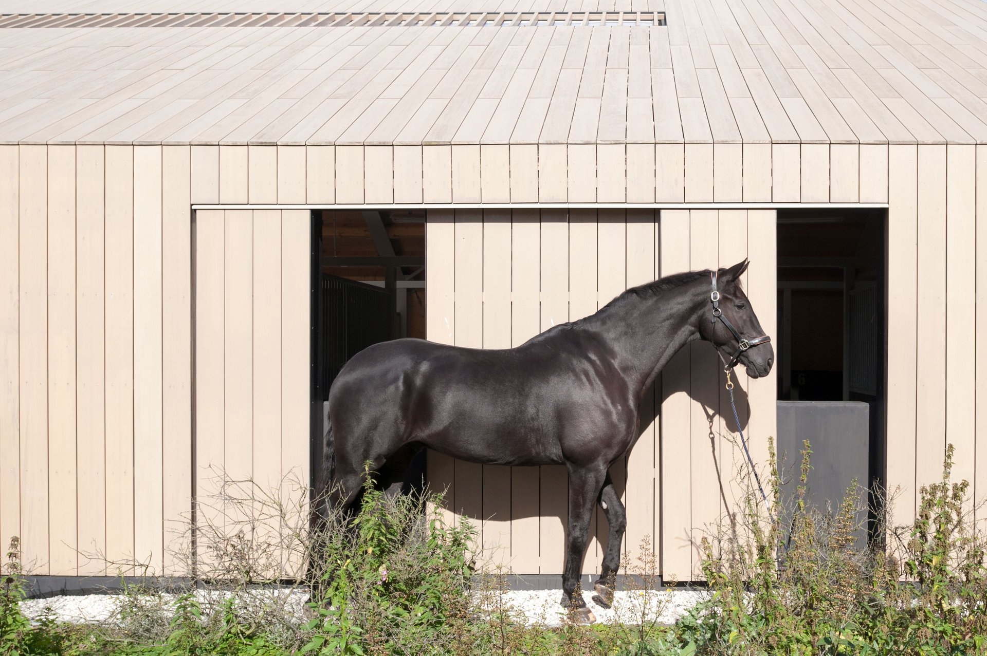 New horse stables complete the transformation of a historic farm ensemble