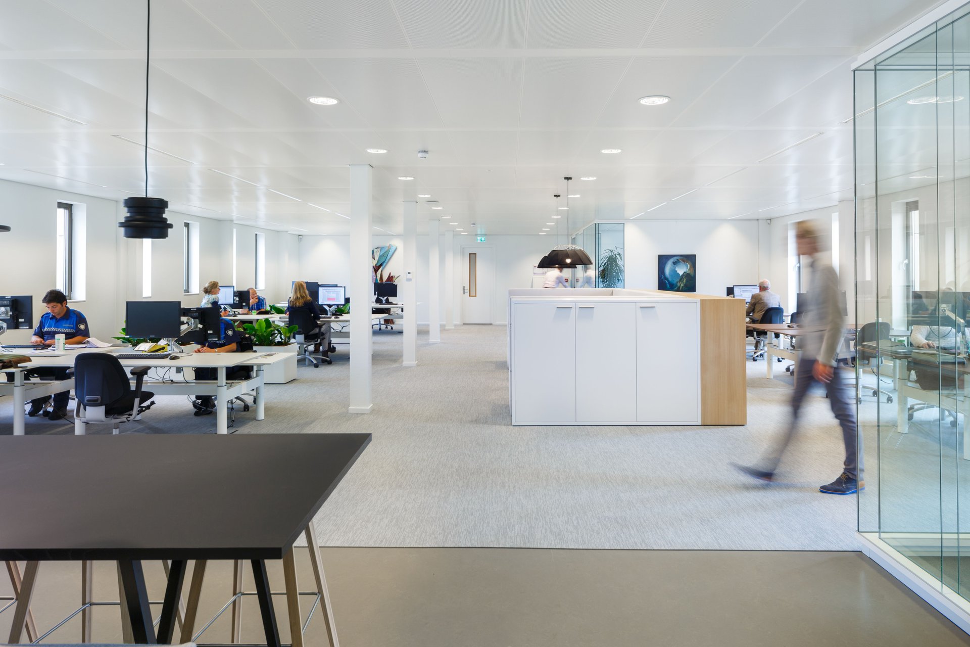 The surrounding landscape of Krimpen aan den IJssel featured in its council chamber