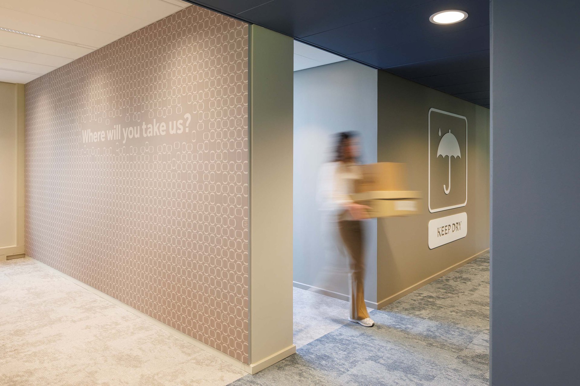 Cardboard Culture project header slider image 10