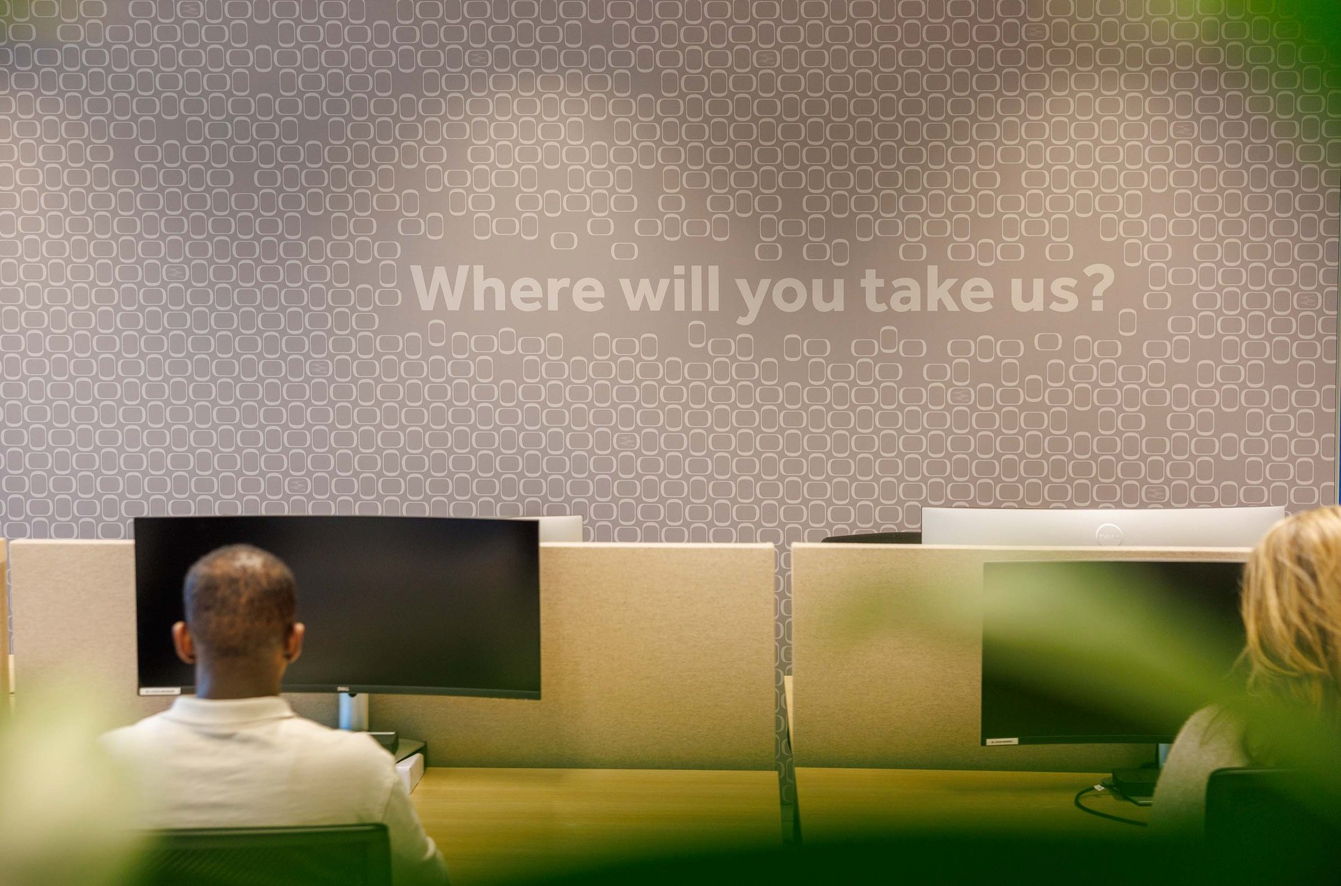 Cardboard Culture project header slider image 12