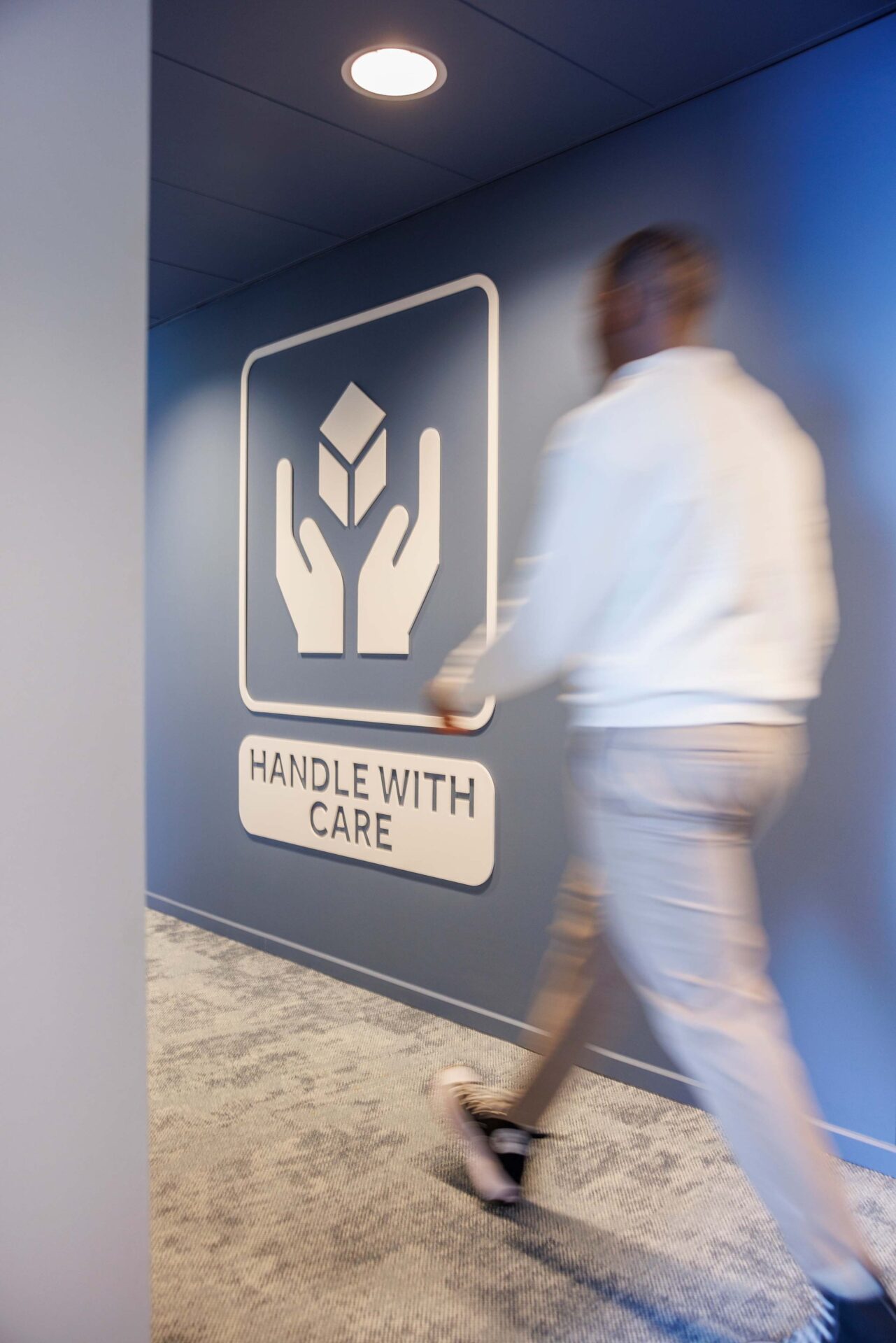 Cardboard Culture project header slider image 11