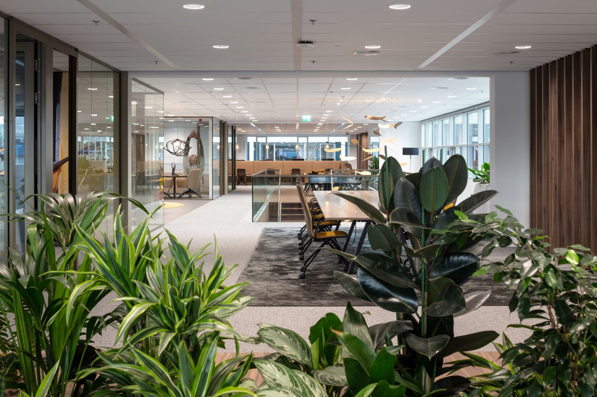 Office space with a focus on employee comfort