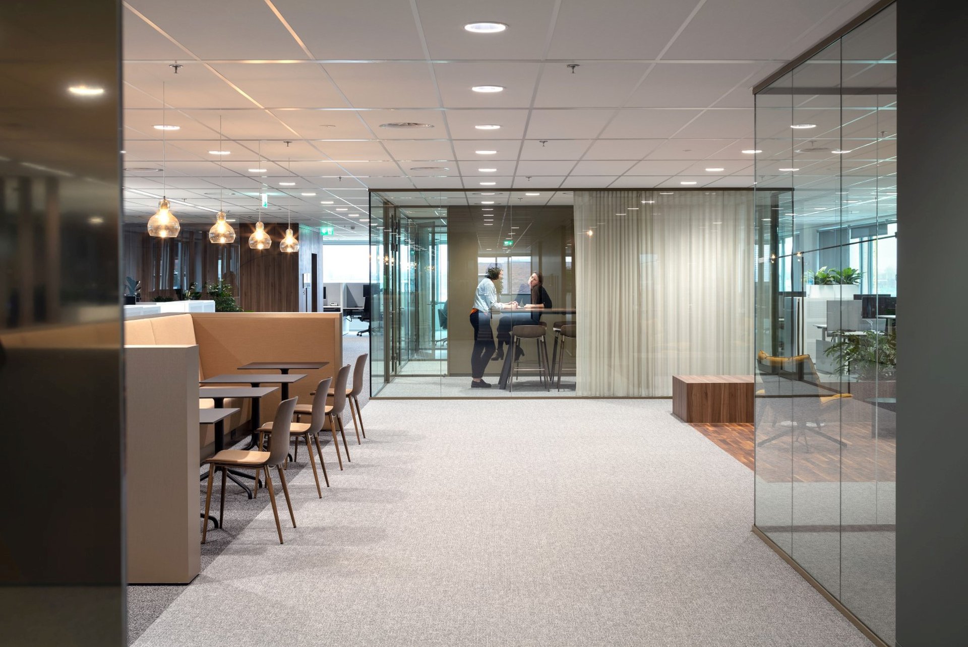 Office design with warm tones and natural elements