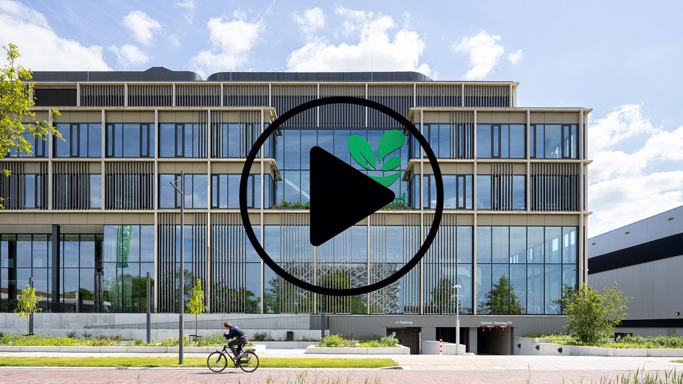 Video Upfield FSC: A Natural Entirety