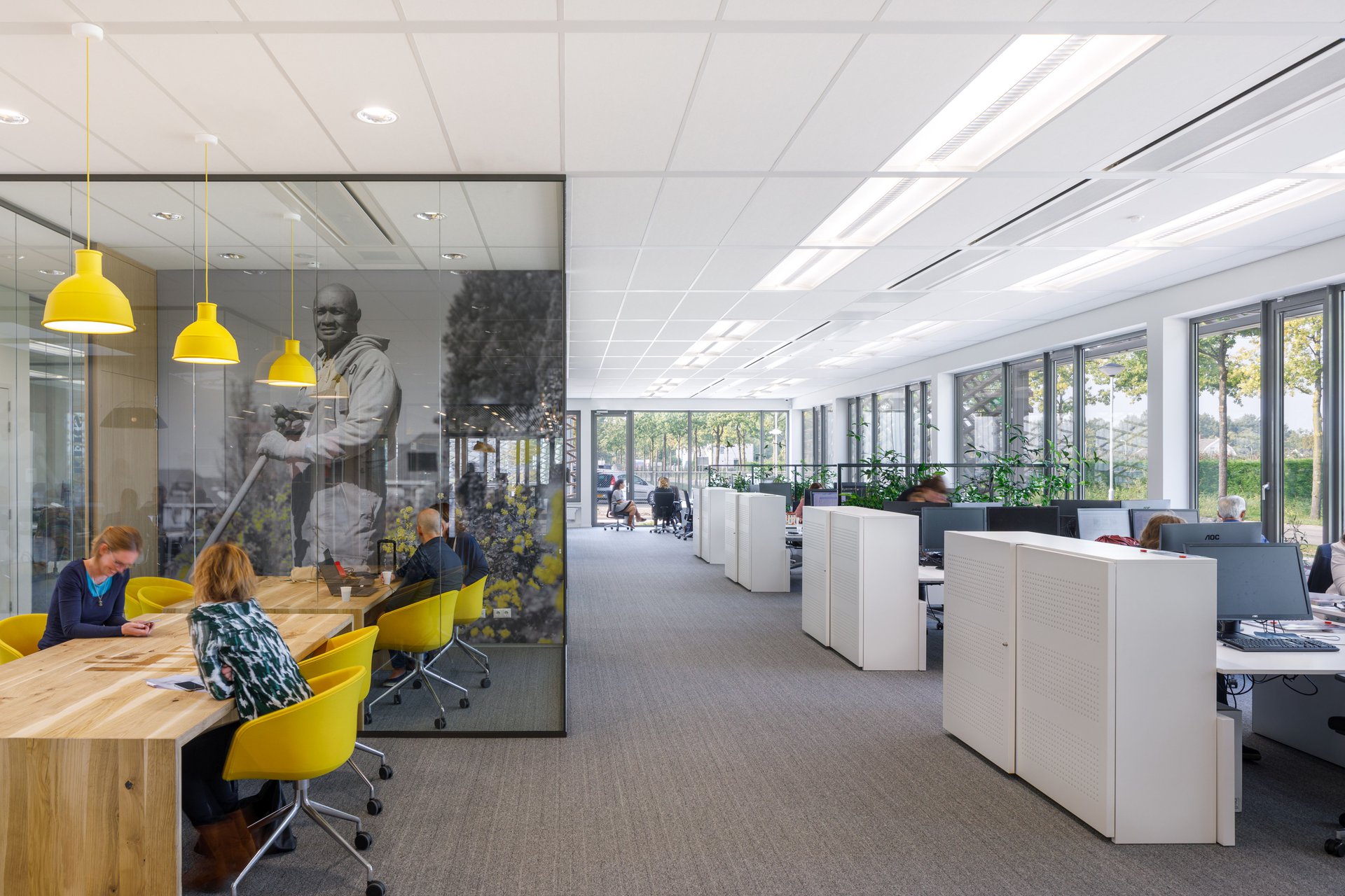 A comprehensible and healthy environment