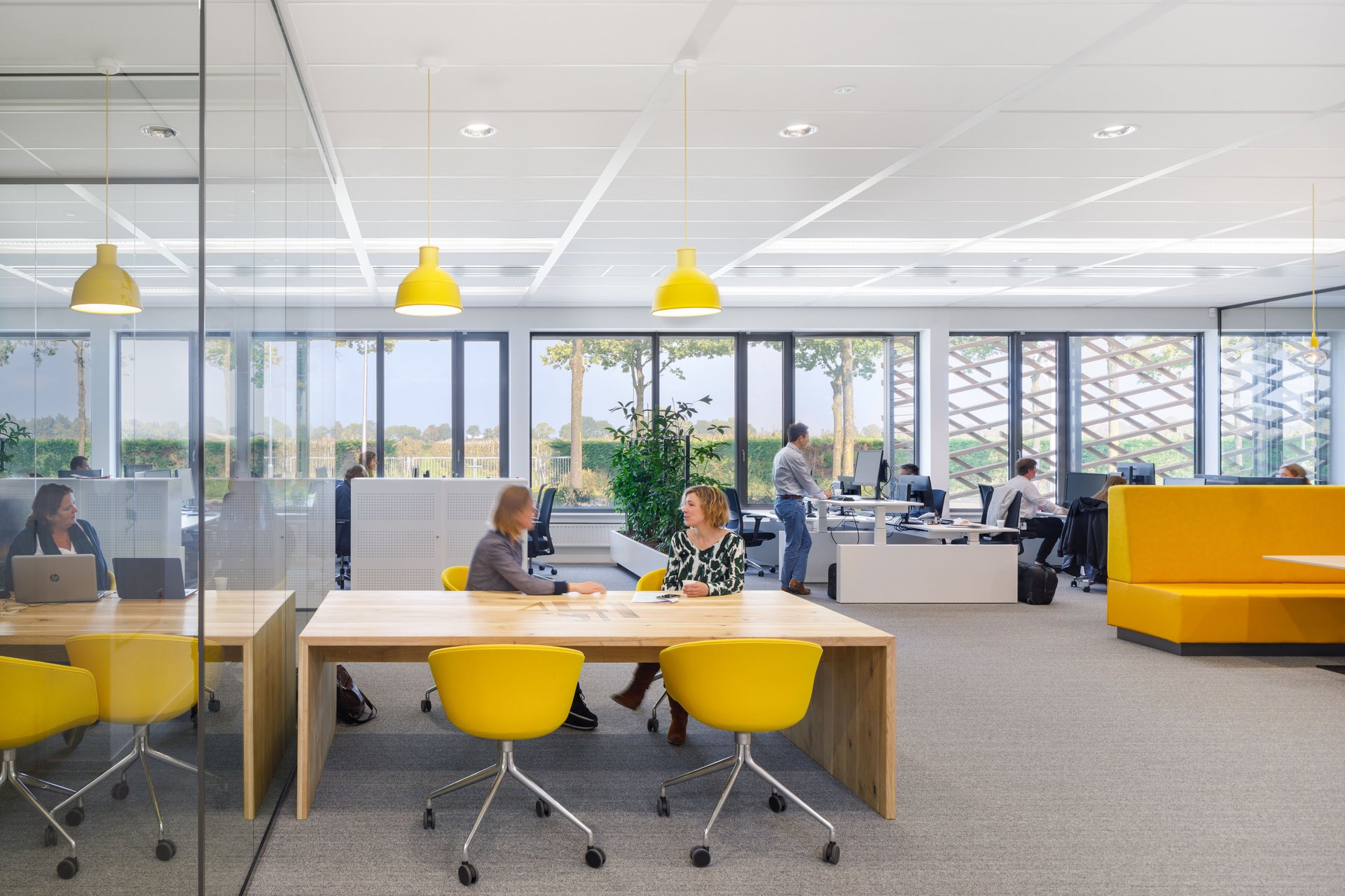 A comprehensible and healthy environment